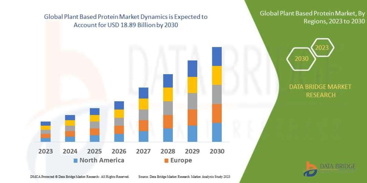 Plant-Based Protein Market Forecast Analysis with Size and Trends