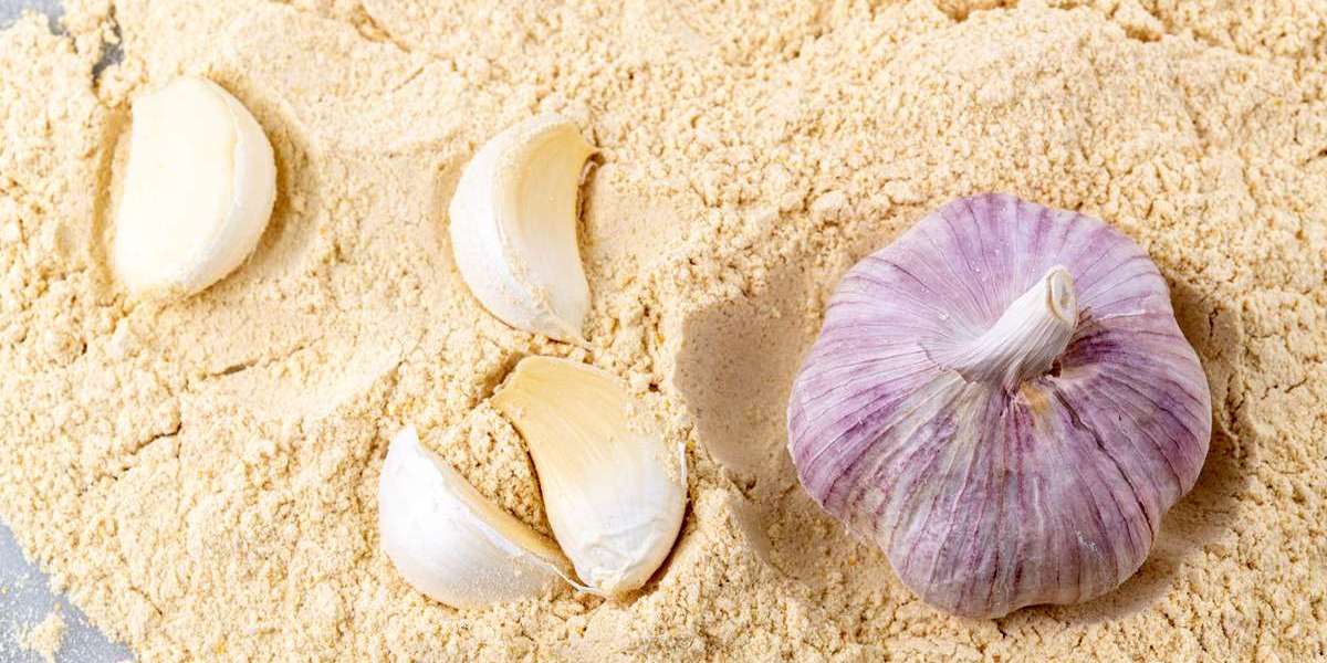 Detailed Project Report: Setting up a Garlic Powder Manufacturing Plant - IMARC Group