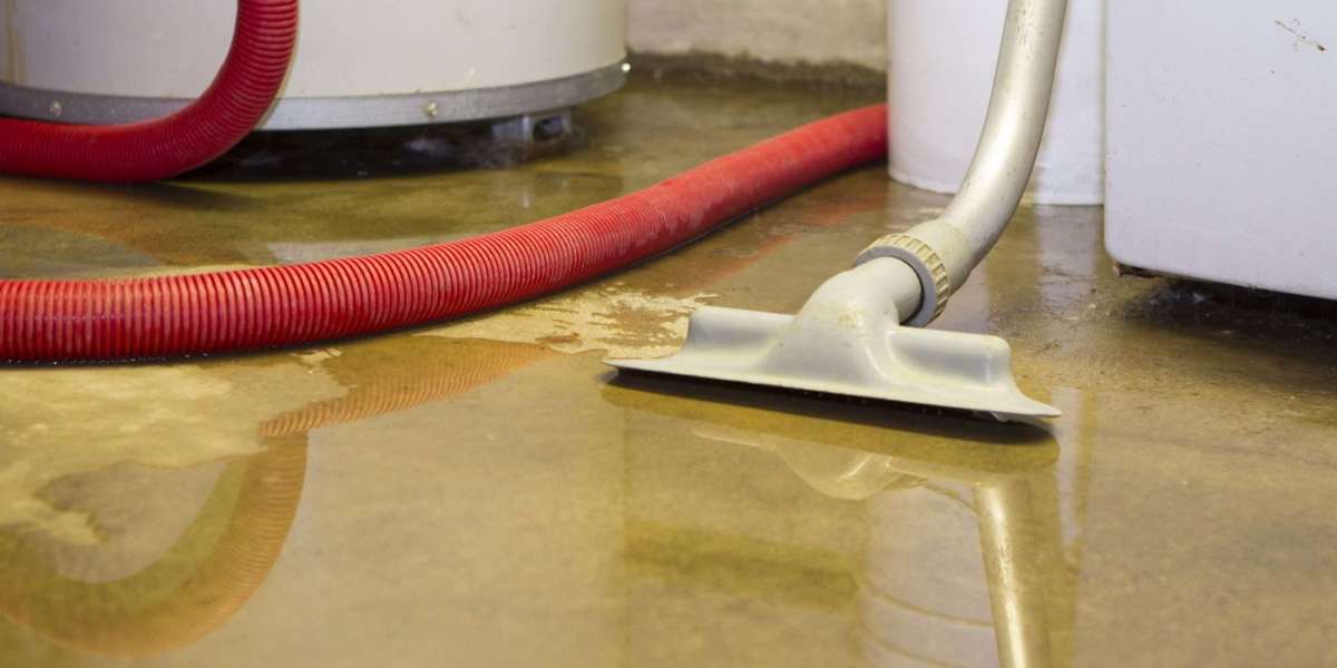 Steps to Take After a Water Damage Emergency