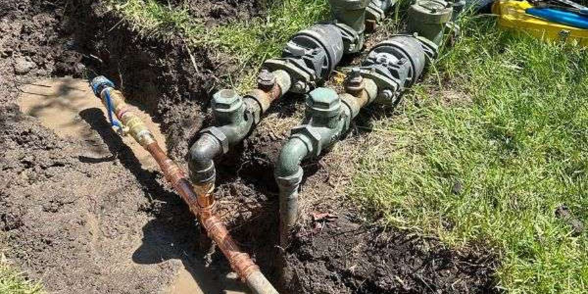 Why Are So Many Melbourne Gardeners Switching to Drip Irrigation?