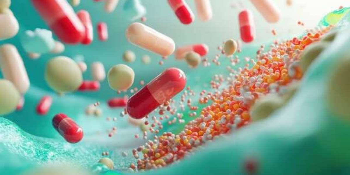 Digestive Enzyme Supplements Market Size Analysis and Future Opportunities