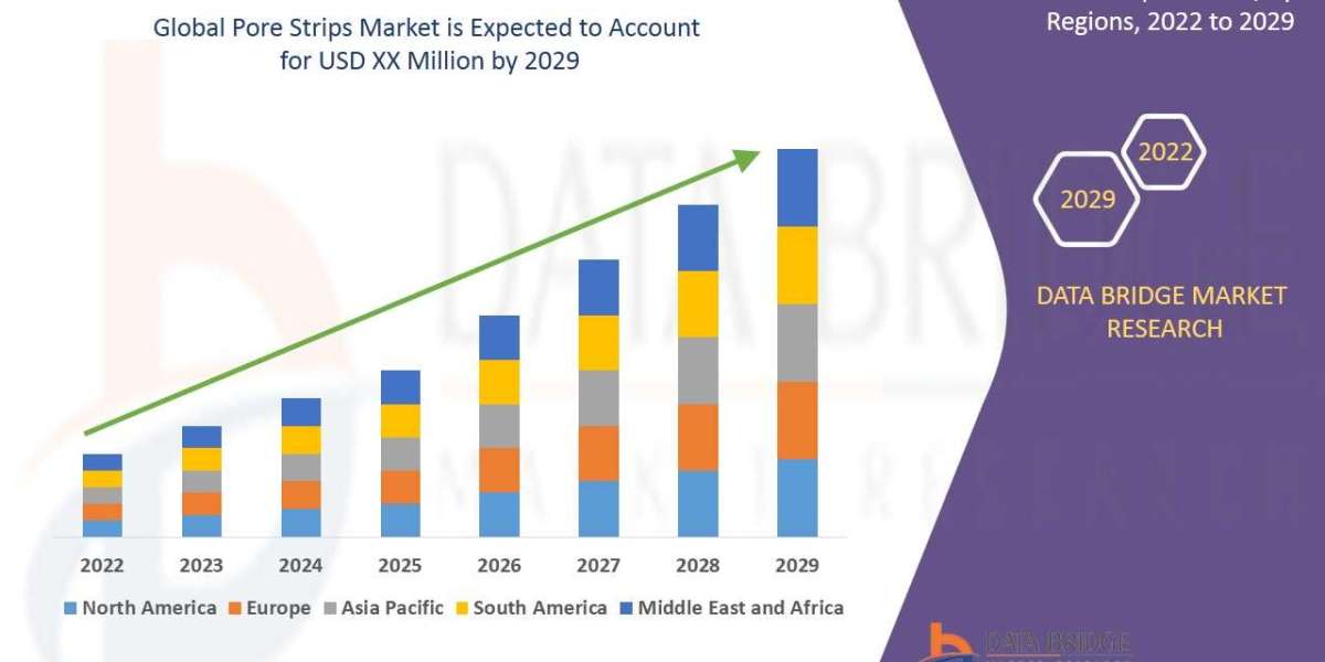 Pore Strips Market Demonstrates Steady Growth with 5.30% CAGR Through 2029