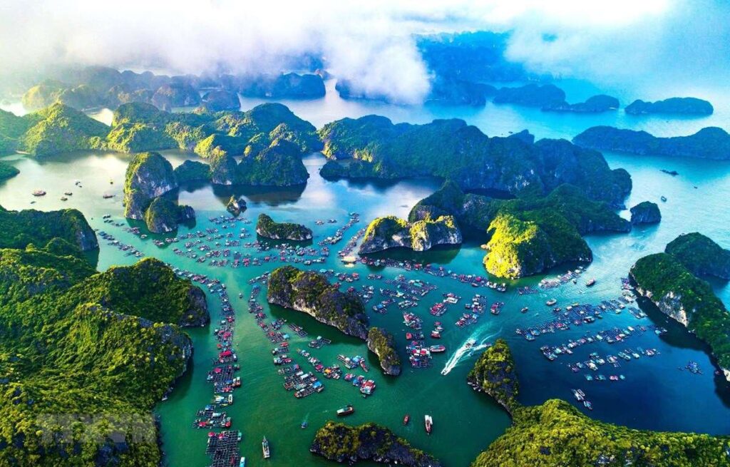 Market Research Company In Vietnam | Market Research Services