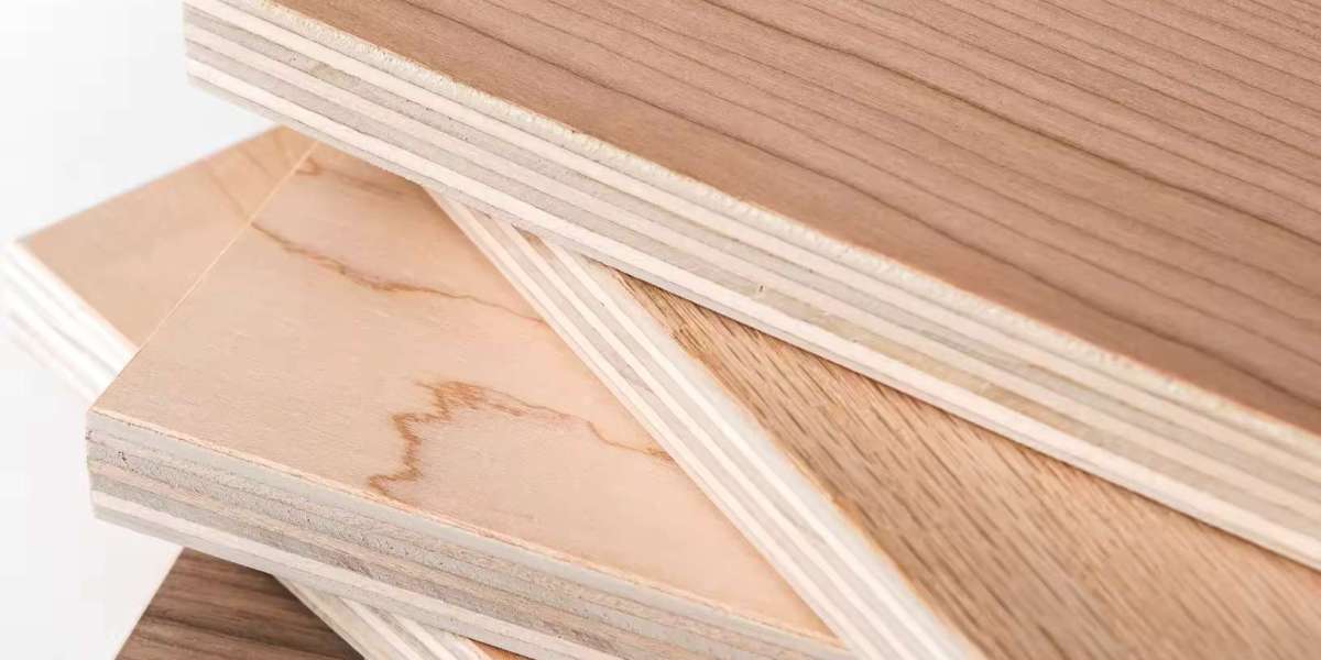 Global Demand Pushes Plywood Market Forward