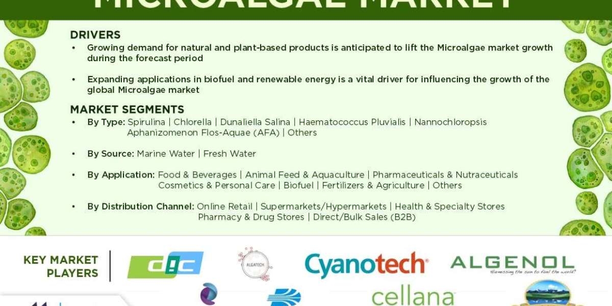 Global Microalgae Market Trends & Forecast Insights for 2025–2035