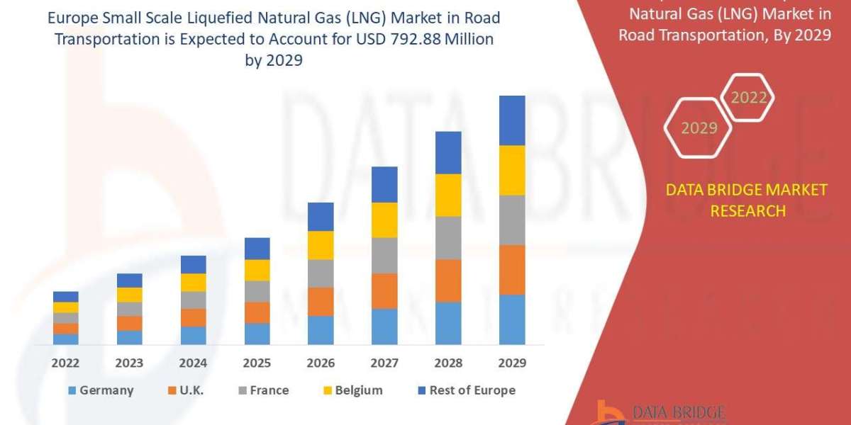 Europe Small Scale Liquefied Natural Gas (LNG) Market Size Analysis Report, Share, Trends, Growth and Competitive Outloo