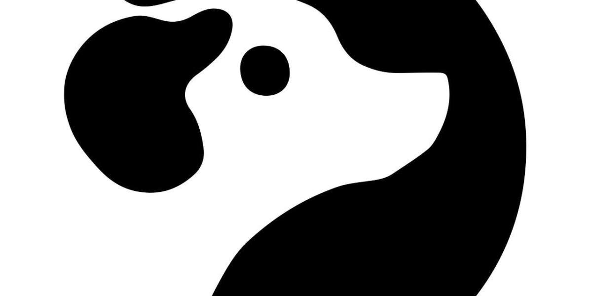 Logo Design Agency: Building Timeless Visual Identities for Brands