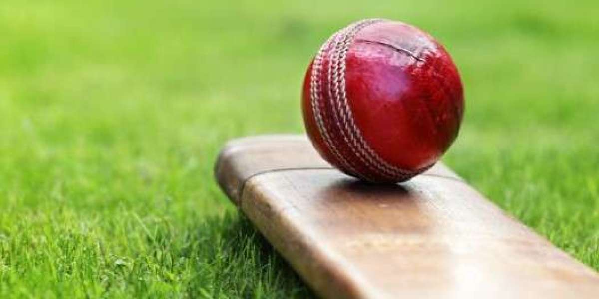 Go Exchange 9 by AmiriBook: India’s Premier Destination for Online Betting