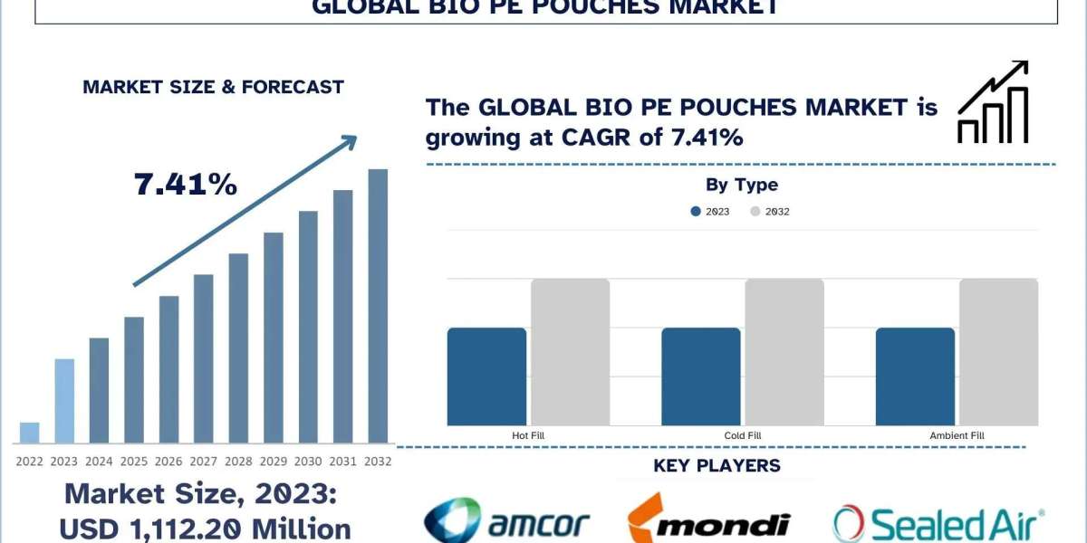Bio PE Pouches Market Size, Trends, Segments, and Forecast (2024-2032)