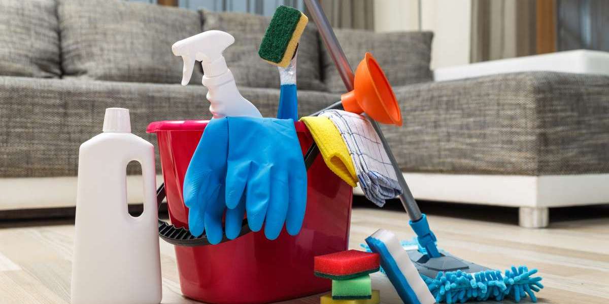 Top Professional Carpet Cleaning Services in Brighton