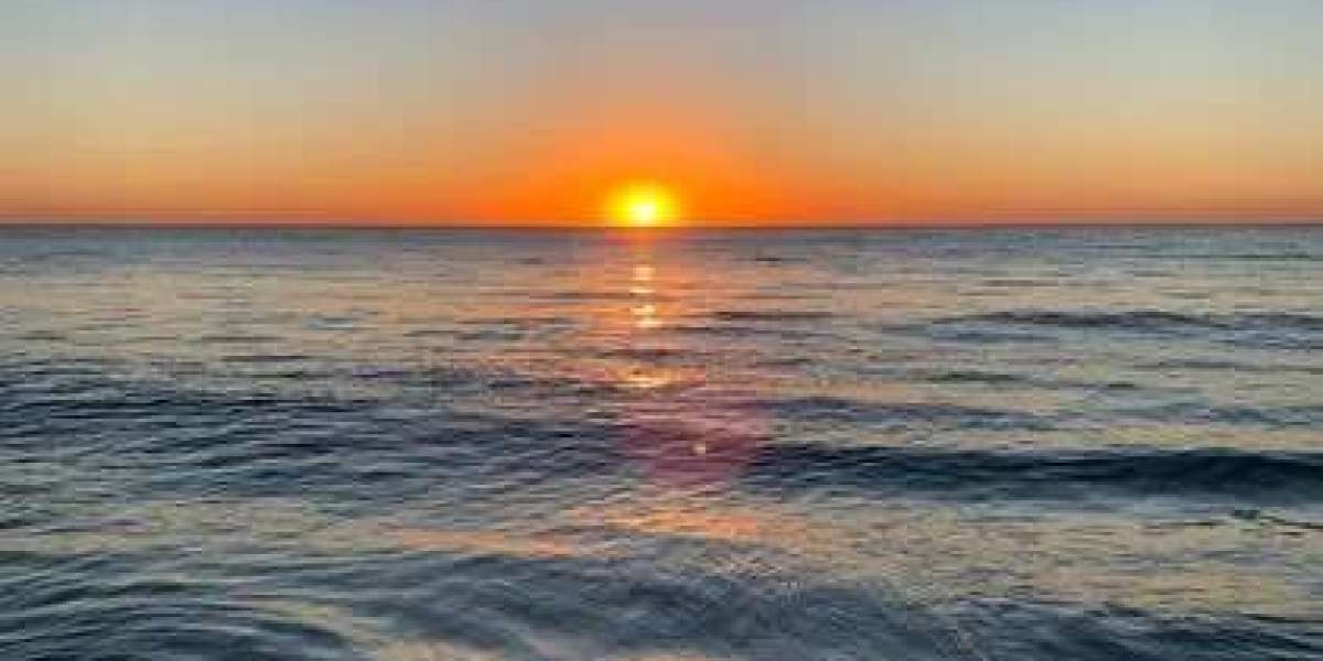 Sunny Days Beach Gear | Englewood Beach Rentals for Chairs, Umbrellas & Canopies