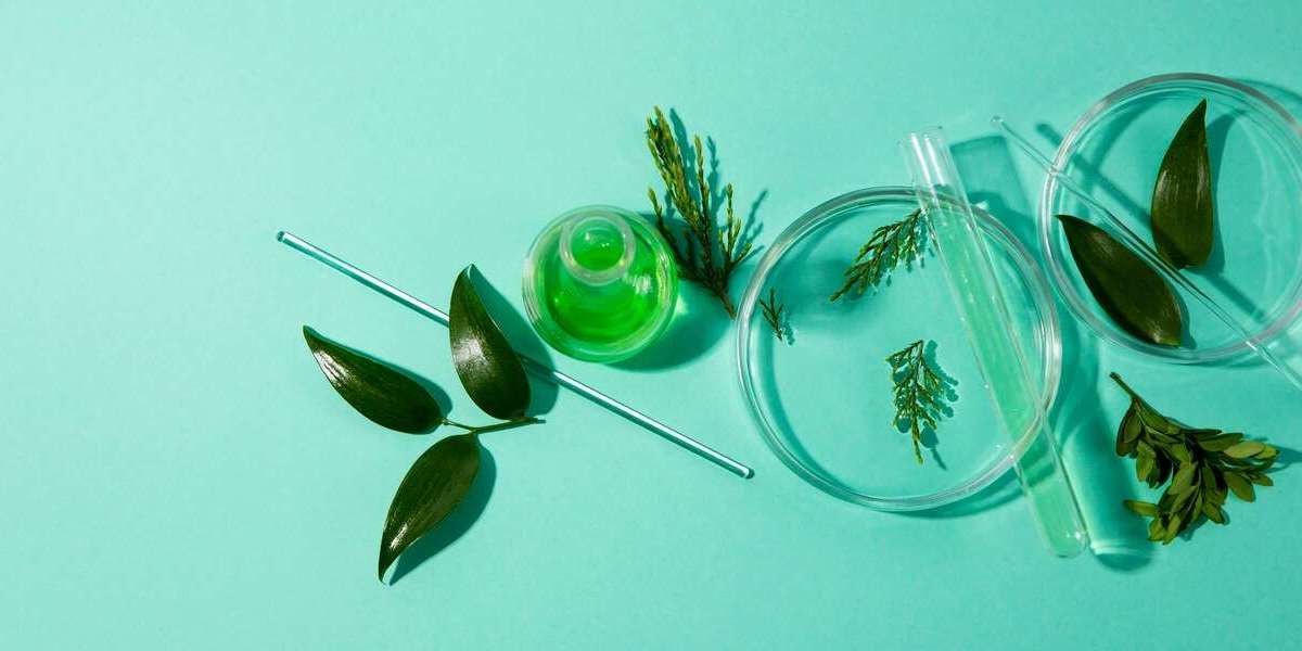 Market for Sustainable Pharmaceutical Packaging to Climb to USD 297.8 Billion by 2035 with 11.4% CAGR