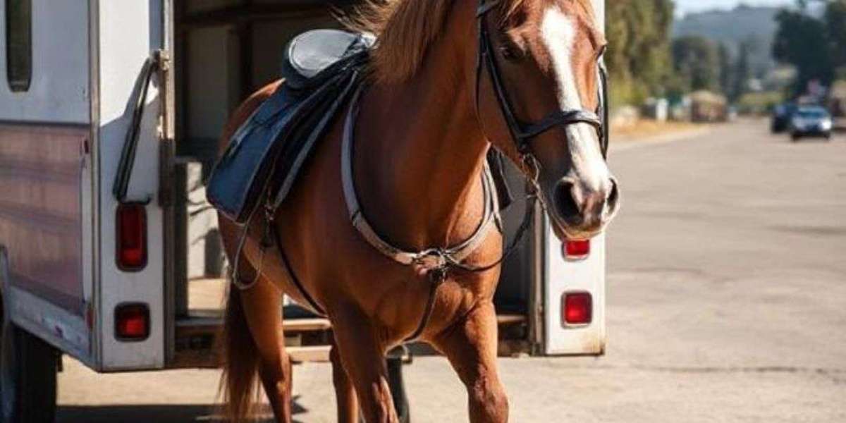 Expert Horse Shippers in California: Safe, Reliable, and Compassionate Transport
