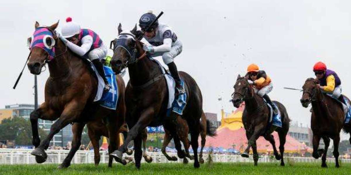 How to Choose the Top Betting App in 2025: A Guide for Smart Punters