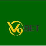 v9bettvip net