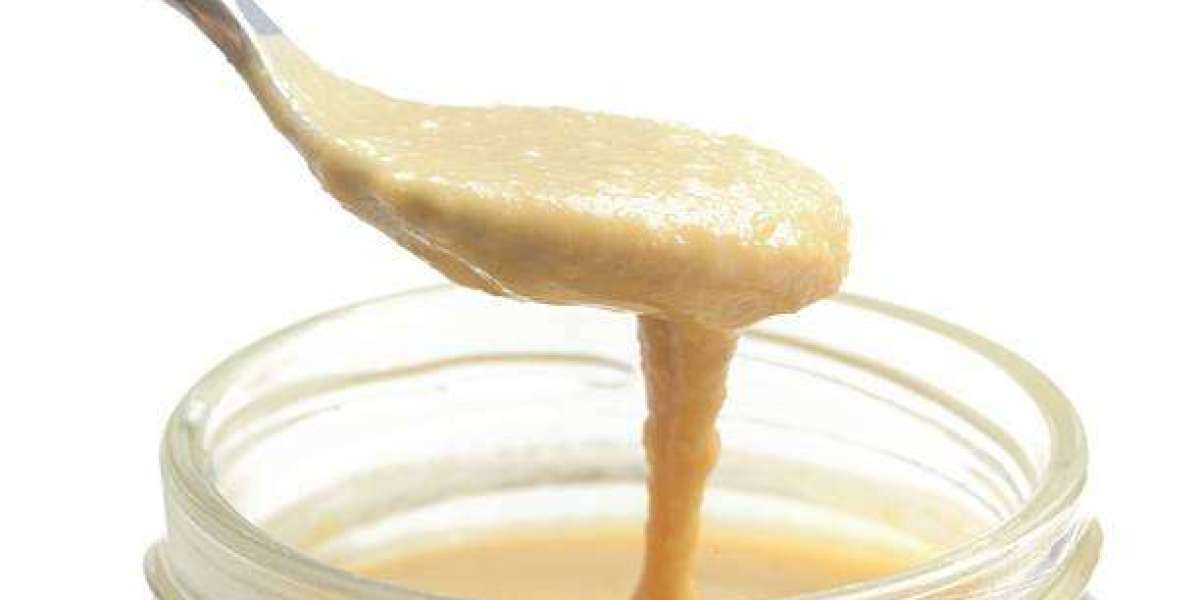Tahini Market Demand Forecast 2030: Industry Growth & Business Opportunities