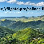 Flightd Tickets