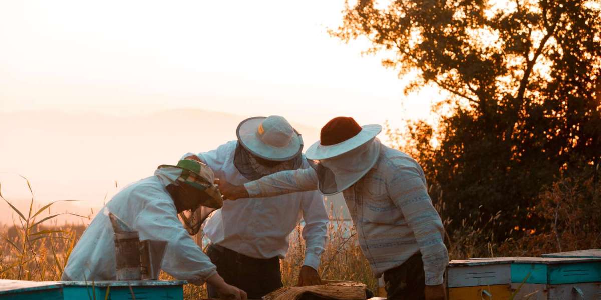 Modern Beekeeping Methods: The Exclusive Role of IoT in Saving Beekeeping