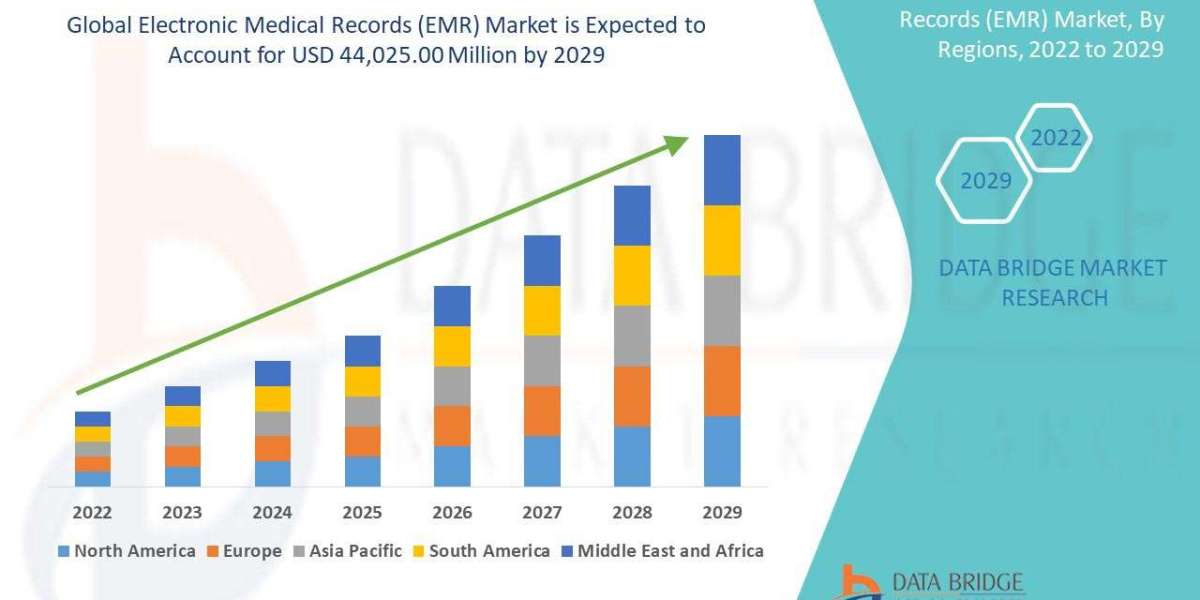 Middle East and Africa Electronic Medical Records (EMR) Market Industry Statistics: Growth, Share, Value, and Trends