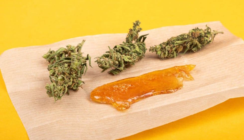 Breaking Down Shatter Weed: Canada’s Favorite High-Potency Concentrate