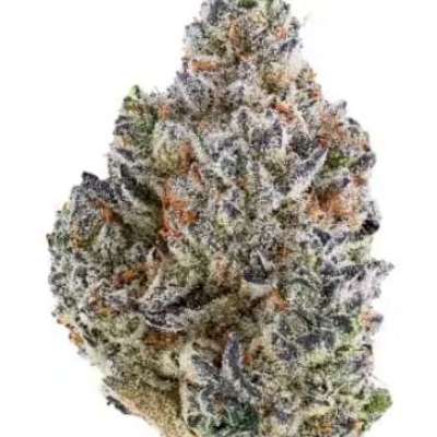 Garden City Cannabis Co. Profile Picture