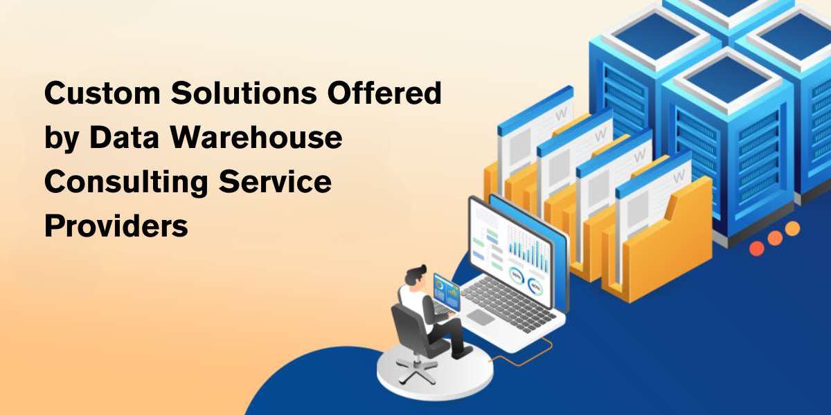 Custom Solutions Offered by Data Warehouse Consulting Service Providers