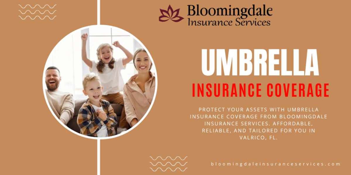 Comprehensive Umbrella Insurance Coverage by Bloomingdale Insurance Services in Valrico, FL
