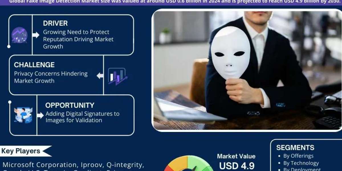 Fake Image Detection Market Insights, Share & Growth Trends 2025 to 2030