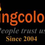 Flying Colour Tax Consulting LLC