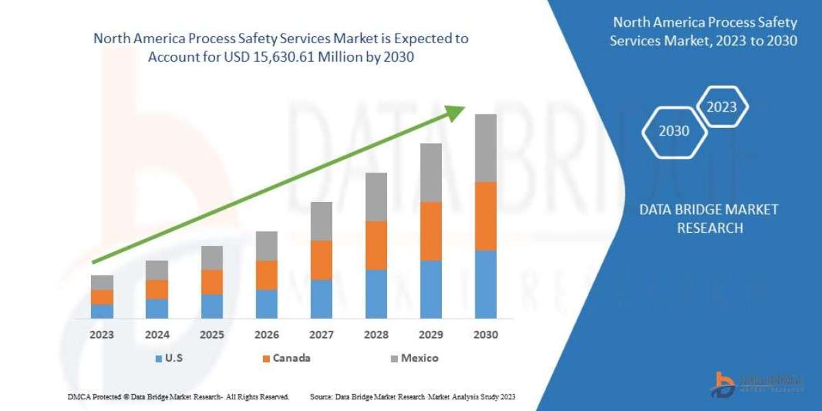 North America Process Safety Services Market Demand: Growth, Share, Value, Size, and Insights