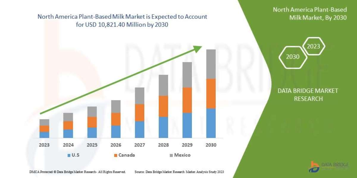 North America Plant Based Milk Market Size, Share, Key Growth Drivers, Trends, Challenges and Competitive Landscape