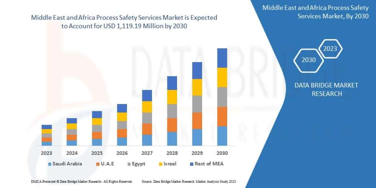 Middle East and Africa Process Safety Services Market Demand: Growth, Share, Value, Size, and Insights