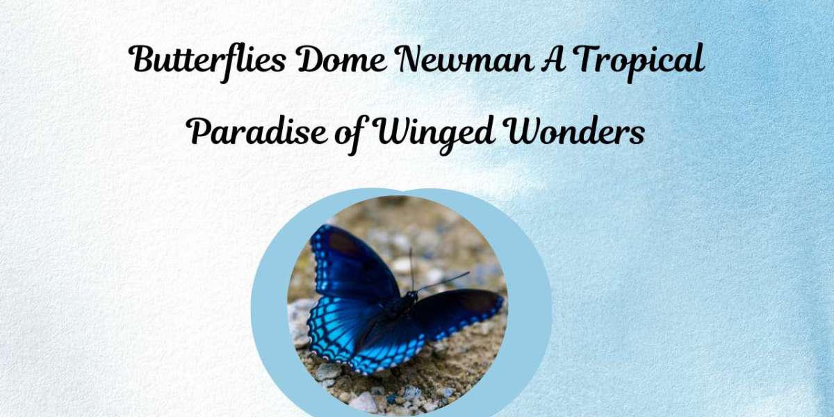 Butterflies Dome Newman A Tropical Paradise of Winged Wonders