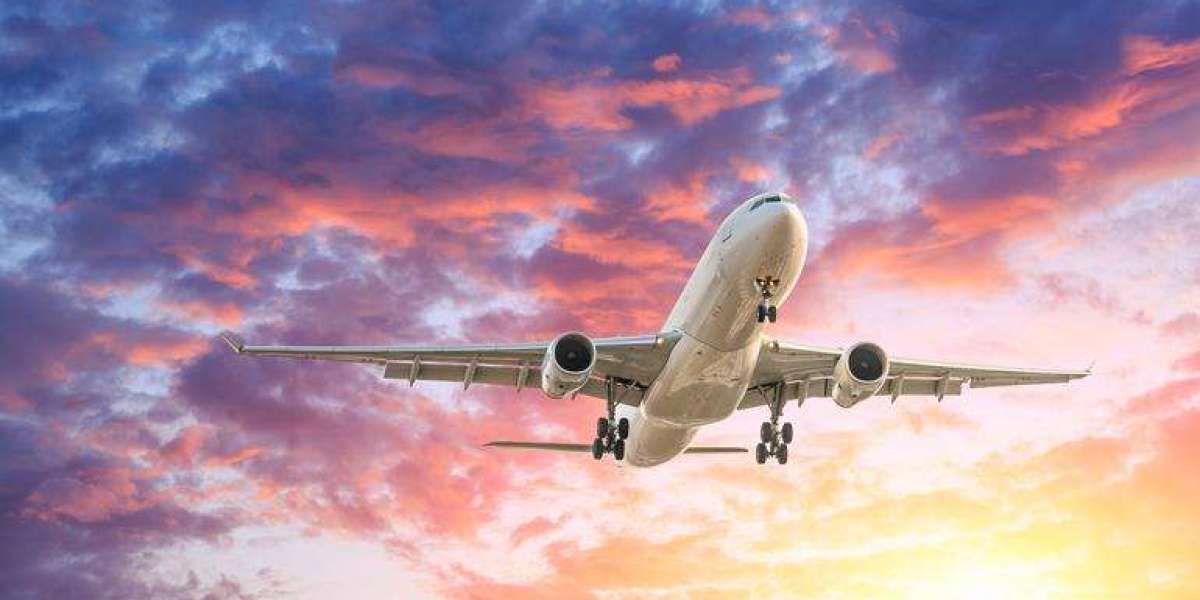 Air Canada Tampa Office +1-888-839-0502