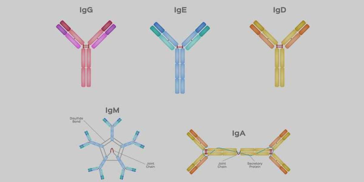Advances in Plasma-Derived Therapies Fuel Growth in the Immunoglobulin Market