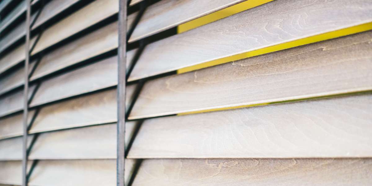 New Zealand Window Covering Market Shines as Home Renovation and Smart Home Trends Drive Demand