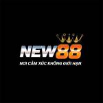 Nhà cái NEW88