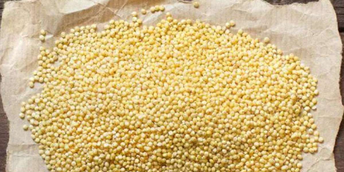 Cost Analysis for Setting up a Millet Processing Plant | Report by IMARC Group