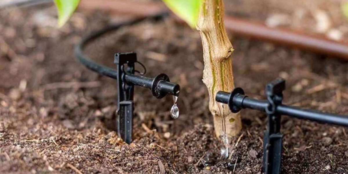 Is Finding the Right Irrigation Supplies in Melbourne Easier Than You Think?