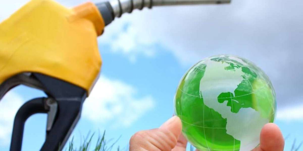 Biodiesel Manufacturing Plant Report- Detailed Project Cost and Setup Requirements