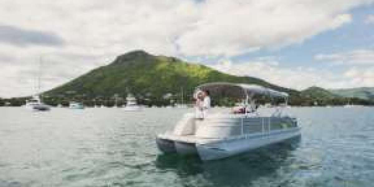 Discover the Magic of Sarasota Boat Tours