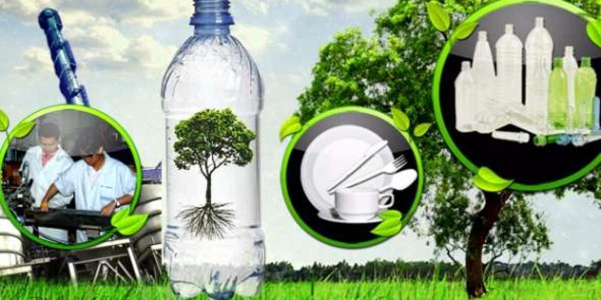 Eco-Friendly Shift: Bioplastic Recycling Industry Poised for Massive Growth