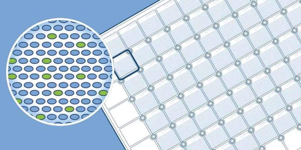 Digital PCR Adoption Surges Across Clinical Diagnostics