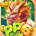 pp6 uk
