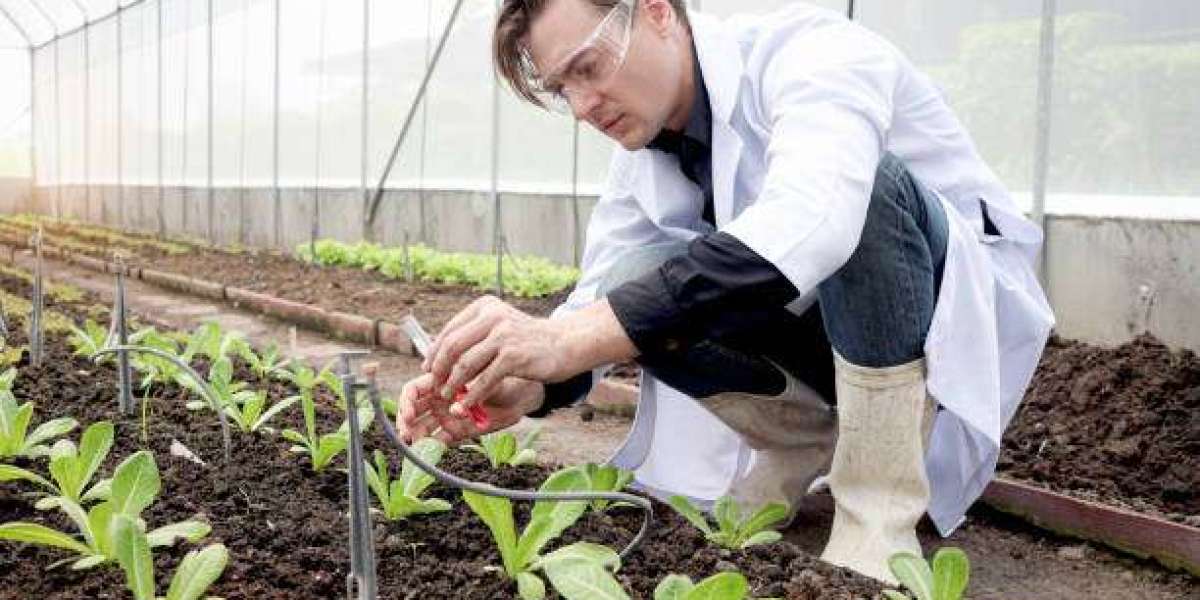 From Field to Future: Innovations in Agricultural Adjuvants