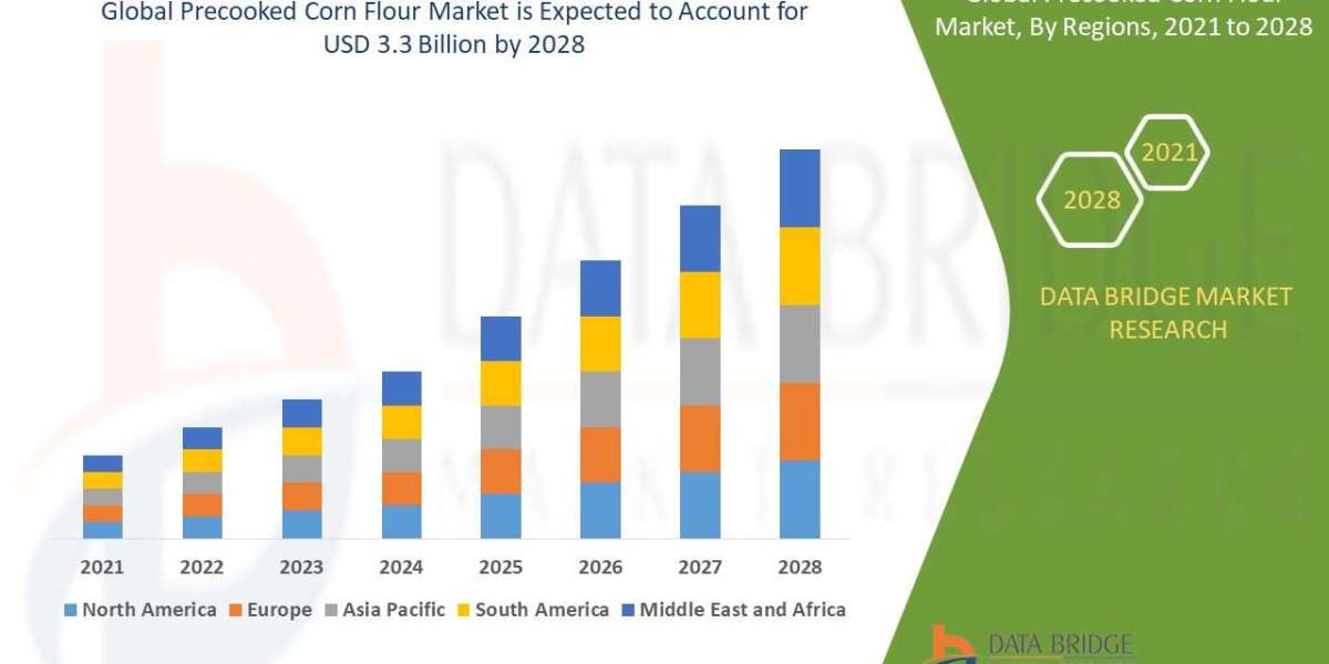 Precooked Corn Flour Market Insights: Market Size, Trends, and Growth Drivers