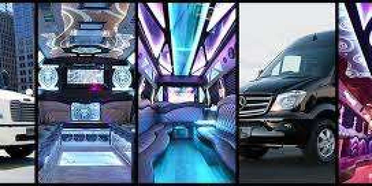 Discover the Best of Chicago with Tailored Tours