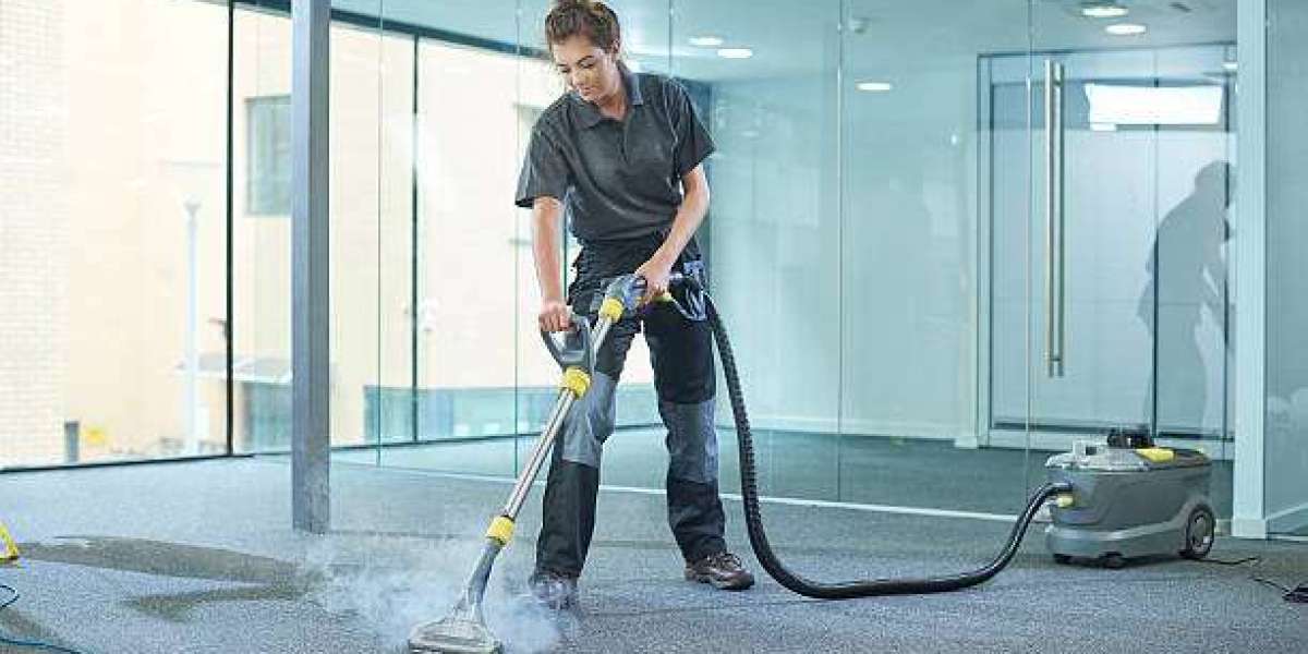 The Best Way to Care for Your Carpet and Upholstery: Local Experts Weigh In