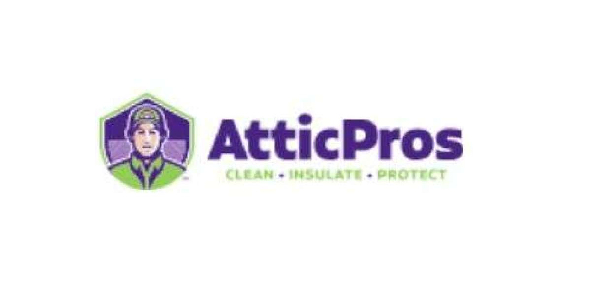 Why Crawl Space Cleaning Matters for Bay Area Homes – A Complete Guide by Attic Pros