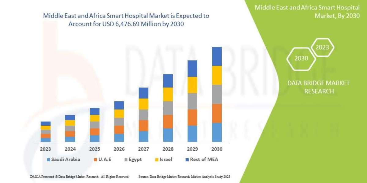 Middle East and Africa Smart Hospital Market Poised for Expansion Driven by Healthcare Digitalization
